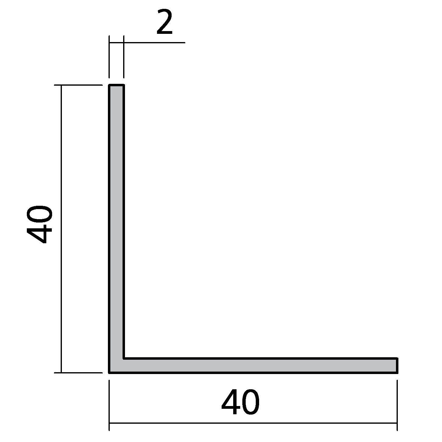 Winkelprofil 40 x 40 x 2 mm